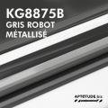 KG8875B - Gris Robot Métallisé - Brillant